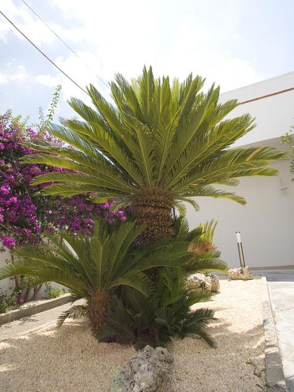 Campi Salentina B&B Viro מראה חיצוני תמונה
