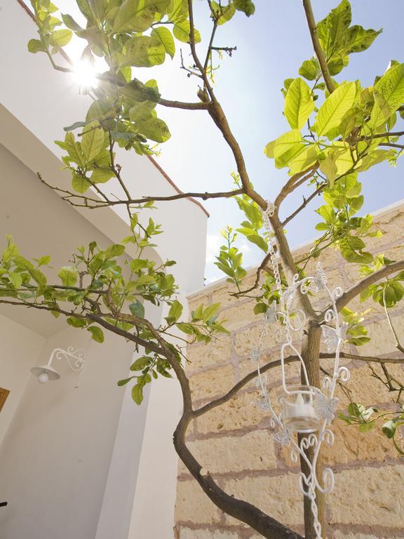 Campi Salentina B&B Viro מראה חיצוני תמונה