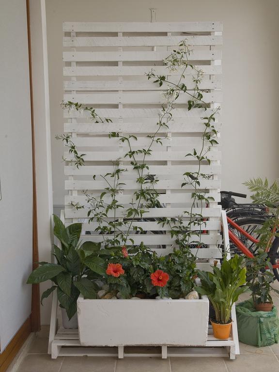 Campi Salentina B&B Viro מראה חיצוני תמונה